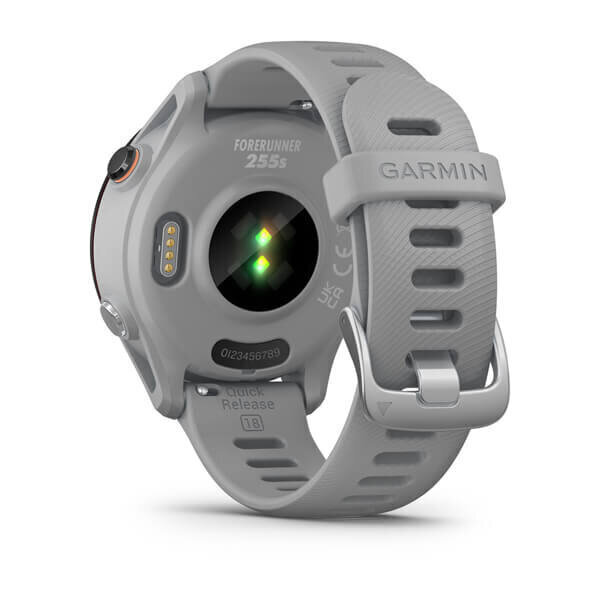 Garmin Forerunner® 255S Powder Grey 41mm hind ja info | Nutikellad (smartwatch) | kaup24.ee