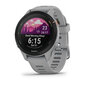 Garmin Forerunner® 255S Powder Grey hind ja info | Nutikellad (smartwatch) | kaup24.ee