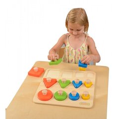 Puidust klotsid värvide ja suuruste sorteerija hind ja info | Arendavad mänguasjad | kaup24.ee