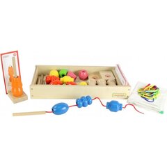 Головоломка и игрушка на ловкость Masterkidz цена и информация | Развивающие игрушки | kaup24.ee