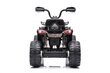 Quad Madman JS009, must hind ja info | Laste elektriautod | kaup24.ee