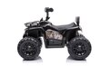 Quad Madman JS009, must hind ja info | Laste elektriautod | kaup24.ee