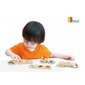 Puidust pusle "Categorizing set", Viga hind ja info | Imikute mänguasjad | kaup24.ee