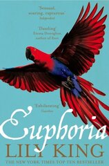 Euphoria цена и информация | Романы | kaup24.ee