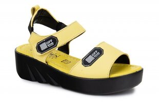 Naiste sandaalid BADEN 261026041102 hind ja info | Naiste sandaalid | kaup24.ee