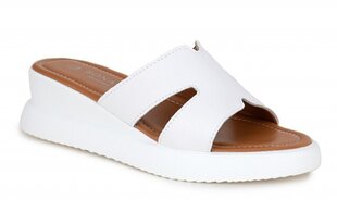 Naiste sandaalid BONAVI 261171041025 hind ja info | Naiste kingad | kaup24.ee