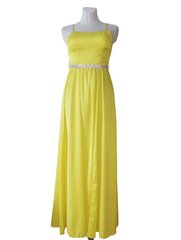 Naiste kleit Lamiar, kollane hind ja info | Kleidid | kaup24.ee