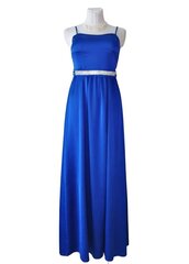 Naiste kleit Lamiar, sinine hind ja info | Kleidid | kaup24.ee