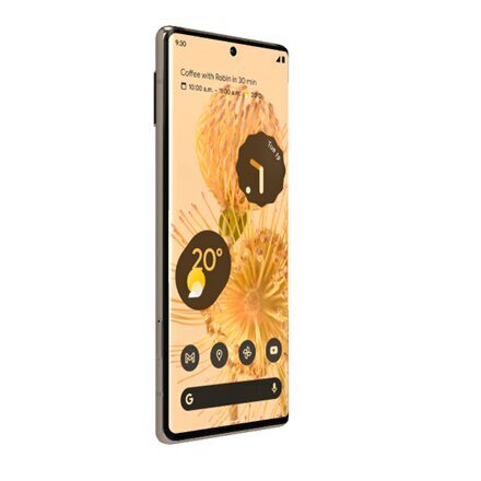 Google Pixel 6 Pro 5G Dual SIM 12/128GB Gold цена и информация | Telefonid | kaup24.ee
