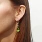 Naiste hõbekõrvarõngad Alberto Martini, roheline kvarts, hõbe 925 roodiumiga, E-AMS5 hind ja info | Kõrvarõngad | kaup24.ee