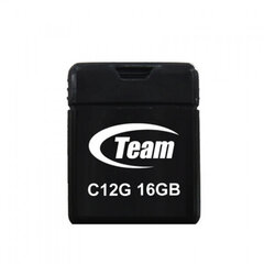 Team Group C12G 16ГБ 2.0 цена и информация | USB накопители | kaup24.ee