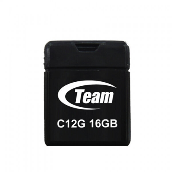 TEAMGROUP TC12G16GB01 цена и информация | Mälupulgad | kaup24.ee