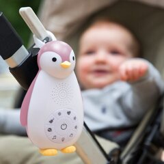 Pleier Zoe Parrot (roosa) 0+ kuud цена и информация | Игрушки для малышей | kaup24.ee