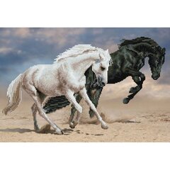 Teemantmosaiik Horse play, 42x62 cm hind ja info | Teemantmaalid, teemanttikandid | kaup24.ee