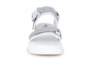 Naiste sandaalid BADEN 260307041253 hind ja info | Naiste sandaalid | kaup24.ee
