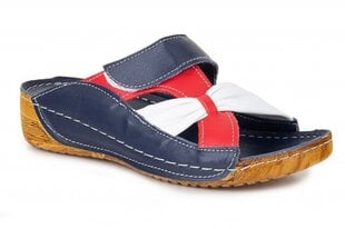 Naiste sandaalid MONNA LISA 260243042546 hind ja info | Naiste kingad | kaup24.ee