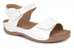 Naiste sandaalid Cink Me 261329044025 hind ja info | Naiste sandaalid | kaup24.ee