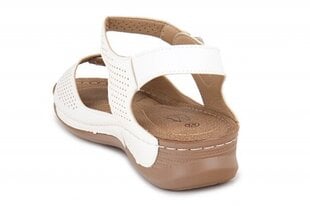 Naiste sandaalid Cink Me 261329044025 hind ja info | Naiste sandaalid | kaup24.ee