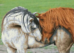 Teemantmosaiik Courtship 45x62 cm hind ja info | Teemantmaalid, teemanttikandid | kaup24.ee