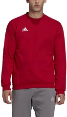 Adidas džemprid Ent22 Sweat Top Red HB0577 цена и информация | Мужская спортивная одежда | kaup24.ee