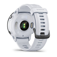 Garmin Forerunner® 955 Solar Whitestone hind ja info | Nutikellad (smartwatch) | kaup24.ee