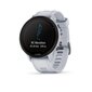 Garmin Forerunner® 955 Solar Whitestone. цена и информация | Nutikellad (smartwatch) | kaup24.ee