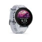 Garmin Forerunner® 955 Solar Whitestone. цена и информация | Nutikellad (smartwatch) | kaup24.ee