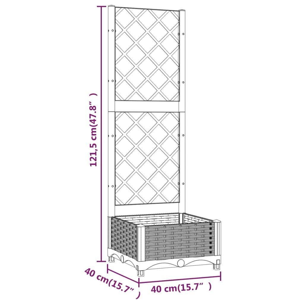 vidaXL võrega taimekast, must, 40 x 40 x 121,5 cm PP hind ja info | Istutus- ja turbapotid | kaup24.ee