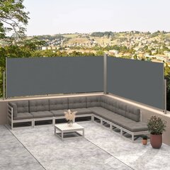 vidaXL lahtitõmmatav külgsein, antratsiithall, 117 x 600 cm цена и информация | Зонты, маркизы, стойки | kaup24.ee