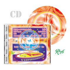 CD Vasaras Vispopulārākā Dziesmu Izlase Nr. 5 цена и информация | Виниловые пластинки, CD, DVD | kaup24.ee
