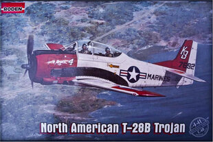 Liimimismudel Roden 441 Põhja-Ameerika T-28B Trooja 1/48 hind ja info | Liimitavad mudelid | kaup24.ee