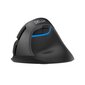 Wireless Vertical Mouse Delux M618Mini DB BT+2.4G 2400DPI (black) цена и информация | Hiired | kaup24.ee