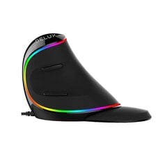 Проводная вертикальная мышь Delux M618Plus 4000DPI RGB цена и информация | Мыши | kaup24.ee