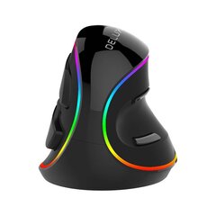 Wired Vertical Mouse Delux M618Plus 4000DPI RGB цена и информация | Мыши | kaup24.ee