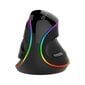 Wired Vertical Mouse Delux M618Plus 4000DPI RGB hind ja info | Hiired | kaup24.ee