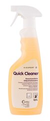 Универсальный очиститель поверхностей Quick Cleaner, 500 мл. цена и информация | Чистящие средства | kaup24.ee