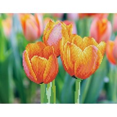 Алмазная мозаика Love Tulips 27x35 см цена и информация | Алмазная мозаика | kaup24.ee