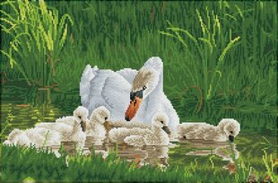 Алмазная мозаика Mother swan signets 41x62 см цена и информация | Алмазная мозаика | kaup24.ee