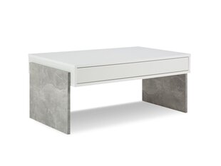 Diivanilaud BSL Concept Zhuri, 100x60x45 cm, valge цена и информация | Журнальные столики | kaup24.ee