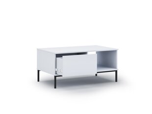 Diivanilaud BSL Concept Query, 100x60x47 cm, valge hind ja info | Diivanilauad | kaup24.ee