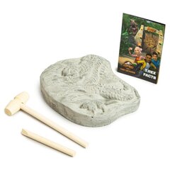 Jurassic World väljakaevamise komplekt helendav T. Rex цена и информация | Развивающие игрушки | kaup24.ee