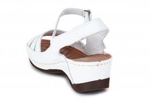 Naiste sandaalid MONNA LISA 263126041025 hind ja info | Naiste sandaalid | kaup24.ee
