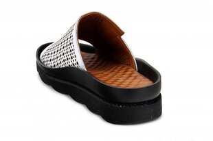 Naiste sandaalid MONNA LISA 263198042025 hind ja info | Naiste kingad | kaup24.ee