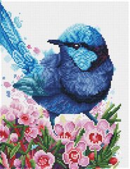 Teemantmosaiik Splendid Fairy Wren 27x35 cm hind ja info | Teemantmaalid, teemanttikandid | kaup24.ee