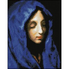 Teemantmosaiik The blue Madonna 35x45 cm цена и информация | Алмазная мозаика | kaup24.ee