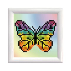 Алмазная мозаика Rainbow butterfly DD Kit with frame цена и информация | Алмазная мозаика | kaup24.ee