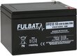 Fulbat FPC12-13, 12V 13.9Ah hind ja info | Akud | kaup24.ee