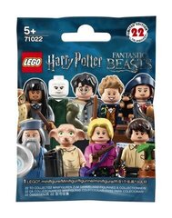 Lego Minifiguur 2018 Harry Potter 71022 цена и информация | Конструкторы и кубики | kaup24.ee