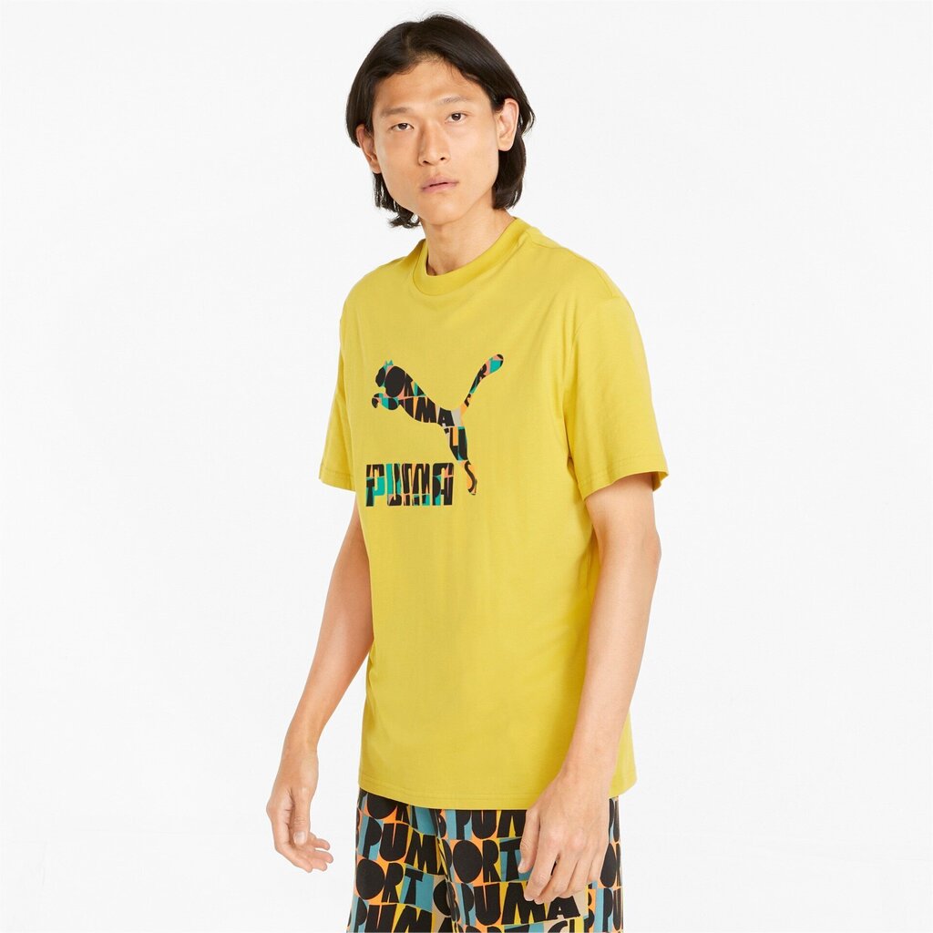 Puma meeste T-särk HC Graphic 533632*31, sinep 4064535463828 цена и информация | Meeste T-särgid | kaup24.ee