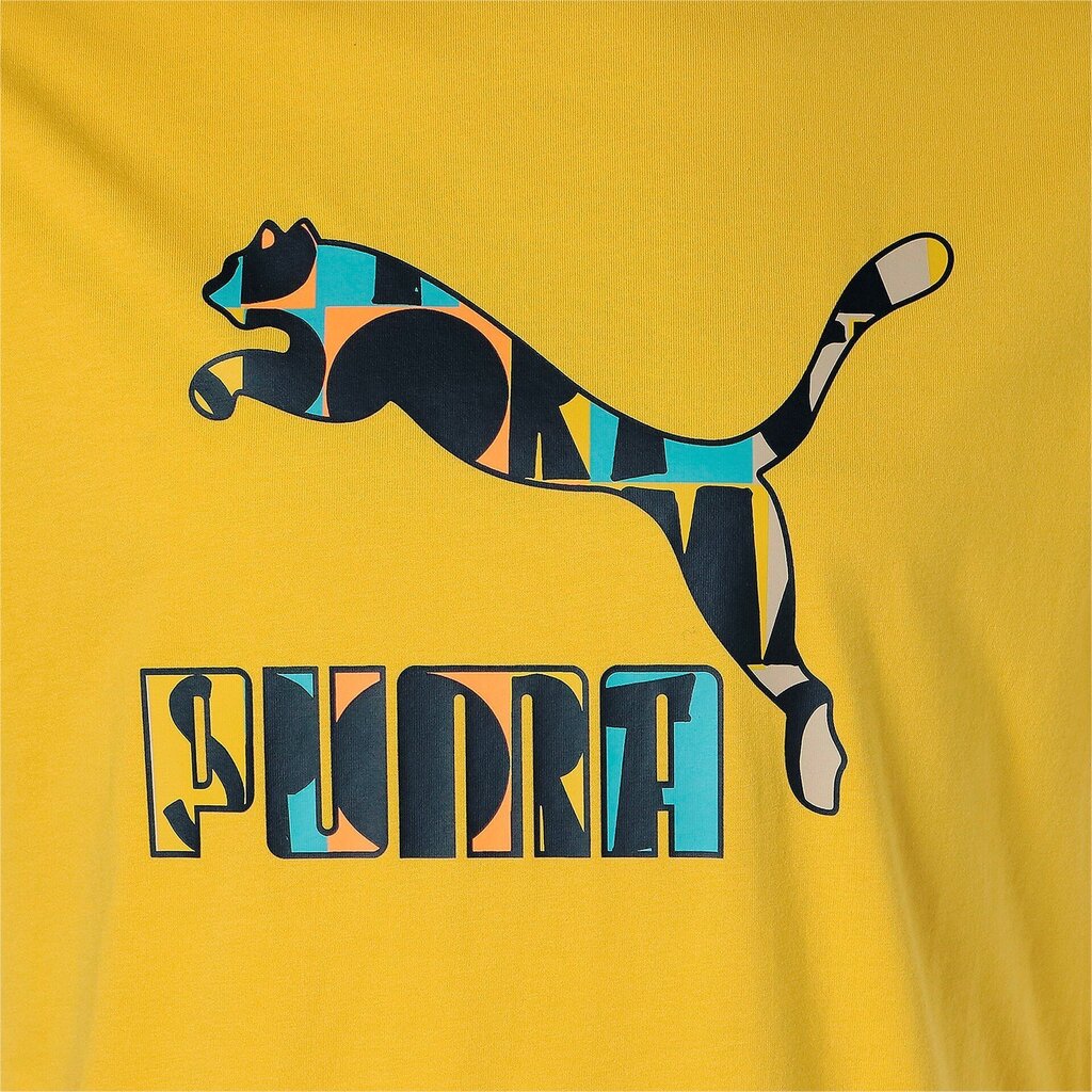 Puma meeste T-särk HC Graphic 533632*31, sinep 4064535463828 hind ja info | Meeste T-särgid | kaup24.ee